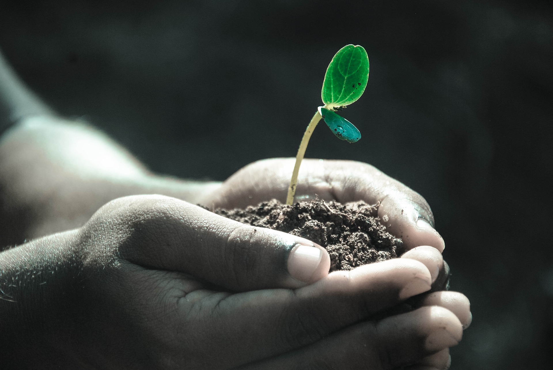 Man holding soil
